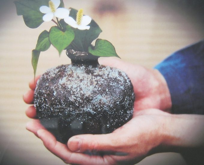 伊賀 焼〆苔肌 忠央窯 | お店情報 | 伊賀ポータル