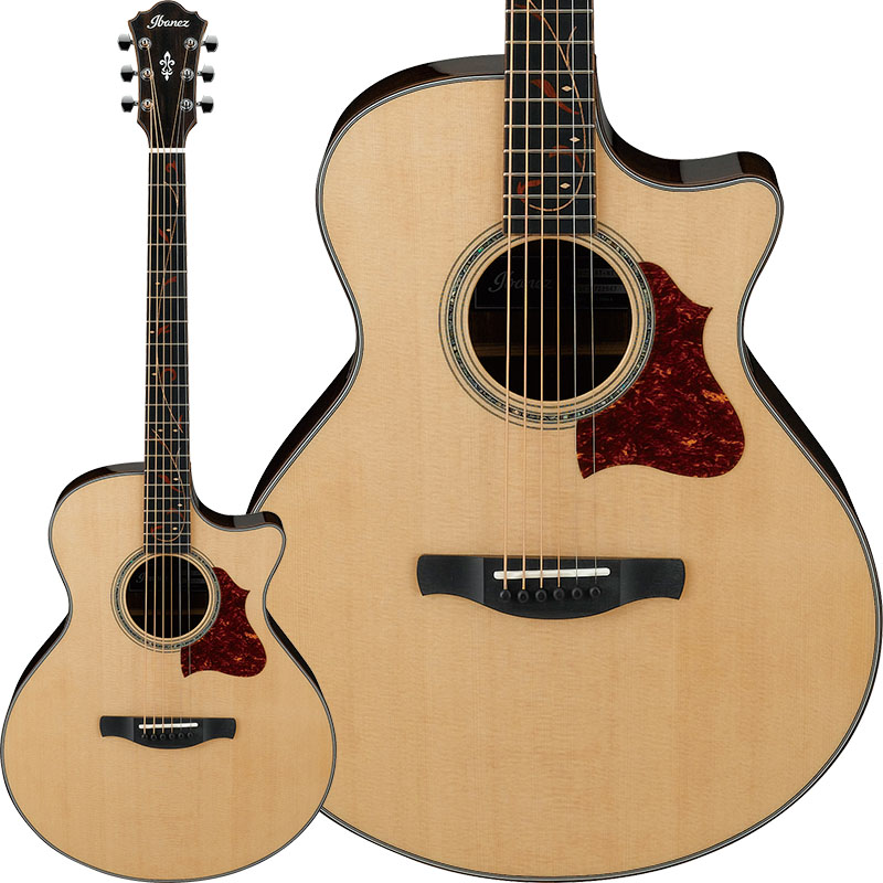 Ibanez】新たに7種のアコースティックギターが登場！ | イケベ新製品