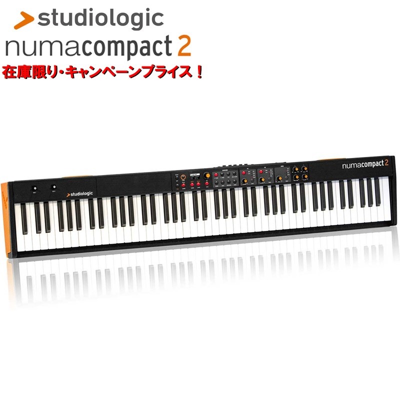 Studiologic 【半期決算セール】Numa Compact 2 (生産完了在庫限り！25