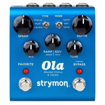 strymon 【アンプ・エフェクターセール！】 DIG V2【Dual Digtal Delay