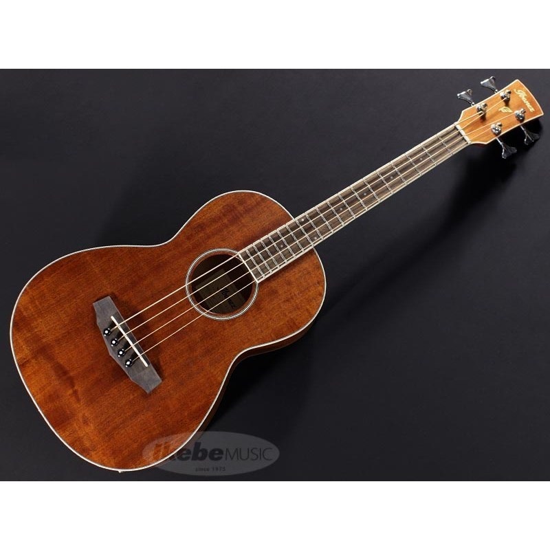 Ibanez 【入荷待ち、ご予約受付中】PNB14E-OPN ｜イケベ楽器店
