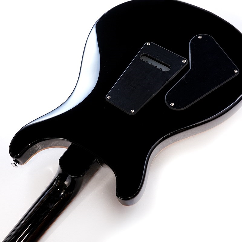 P.R.S. SE Custom 22 Semi-Hollow (Black Gold Burst) ｜イケベ楽器店