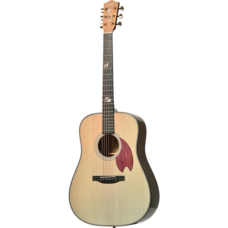 headway ヘッドウェイギターHDC-1500E