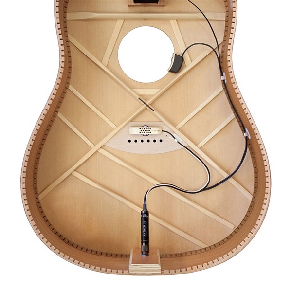 L.R.Baggs Anthem SL [Acoustic Guitar Pickup + Microphone] ｜イケベ