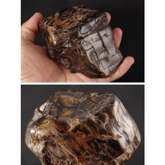 極上 岩手県産 宝石レベルのハイグレード珪化木 鑑賞石 国産鉱物 瑪瑙