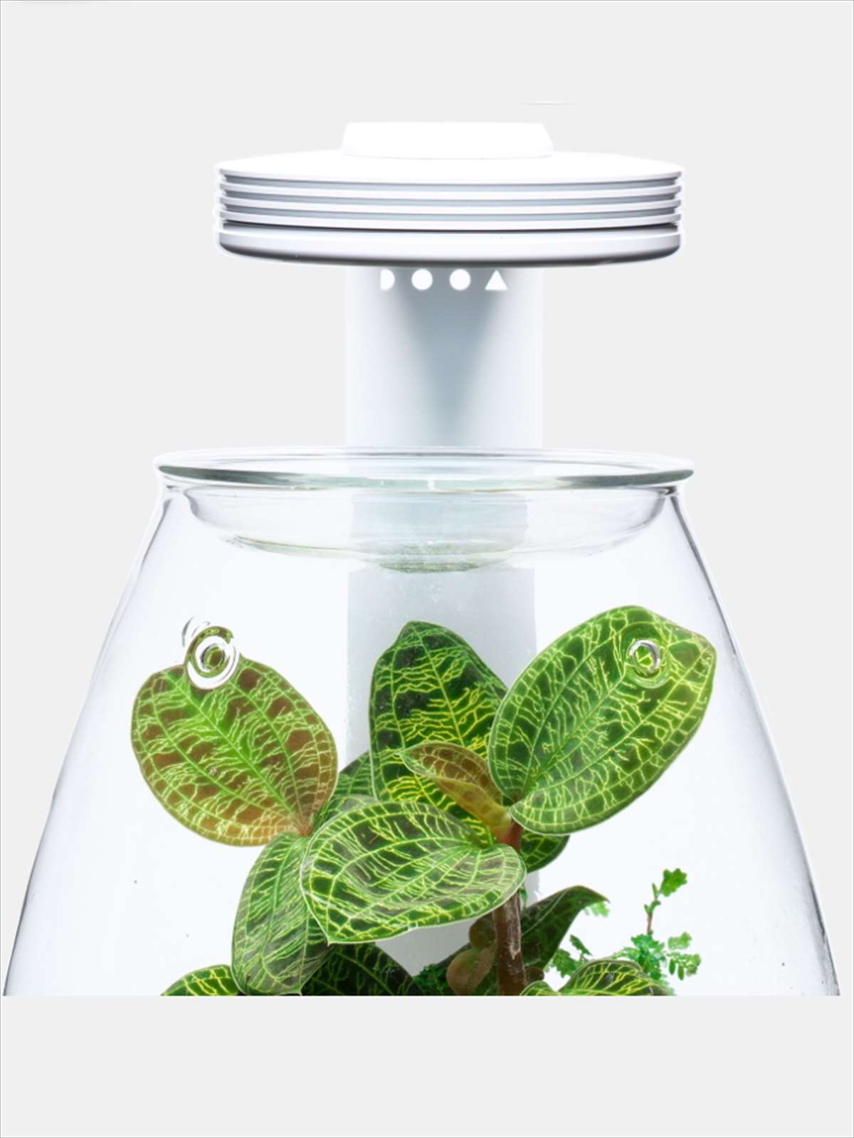 ADA DOOA ネオグラスエア20✕20✕35 マグネットライトスタンド20H ADA