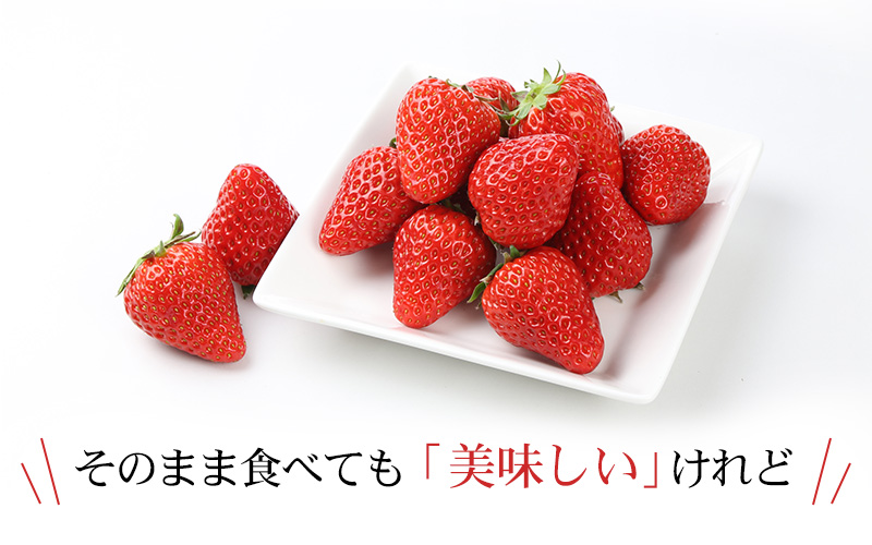 苺通販｜紅ほっぺ・きらぴ香｜静岡県掛川市産の産地直送いちご｜JA掛川