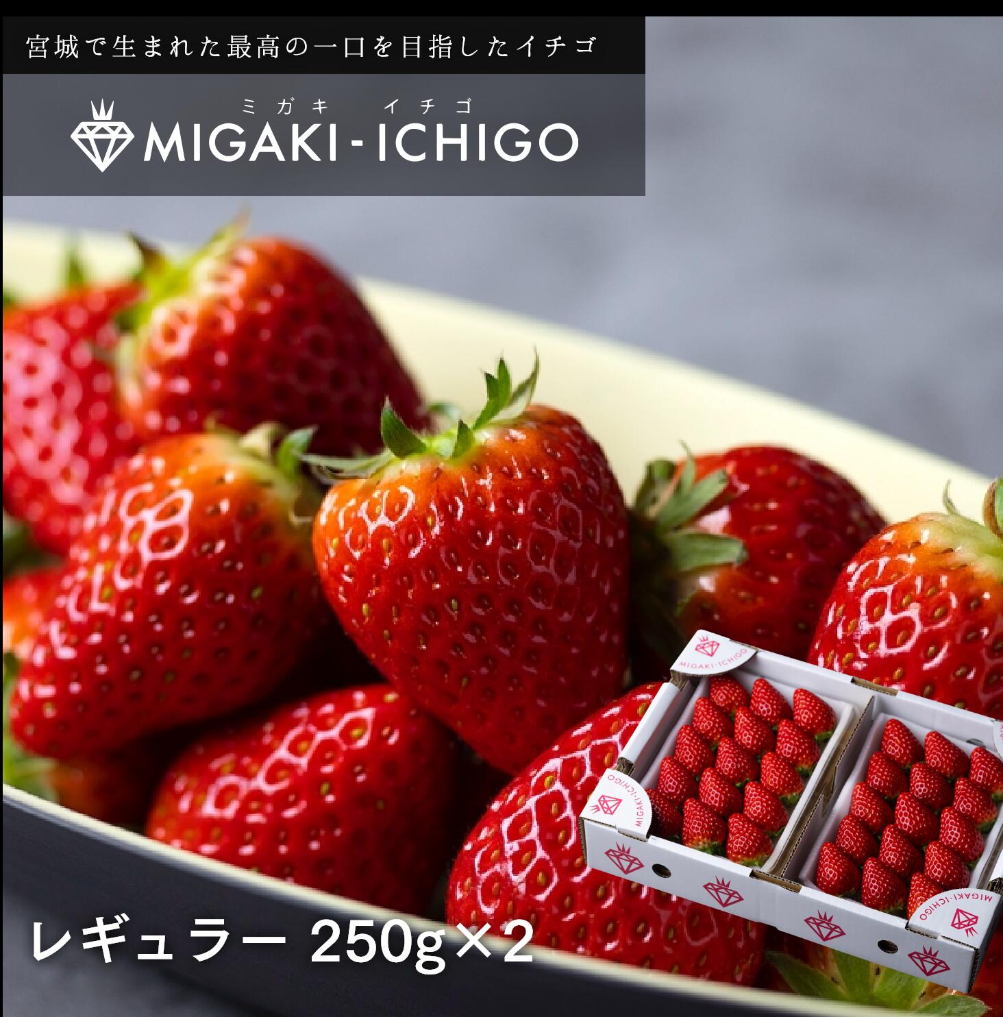 母の日】宮城県産ミガキイチゴ250g×2パック: JAてんどうフーズ