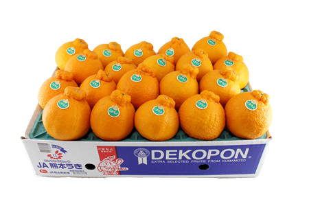 熊本宇城産のデコポン 5kg: JA熊本うきっ子ショップ|【JAタウン