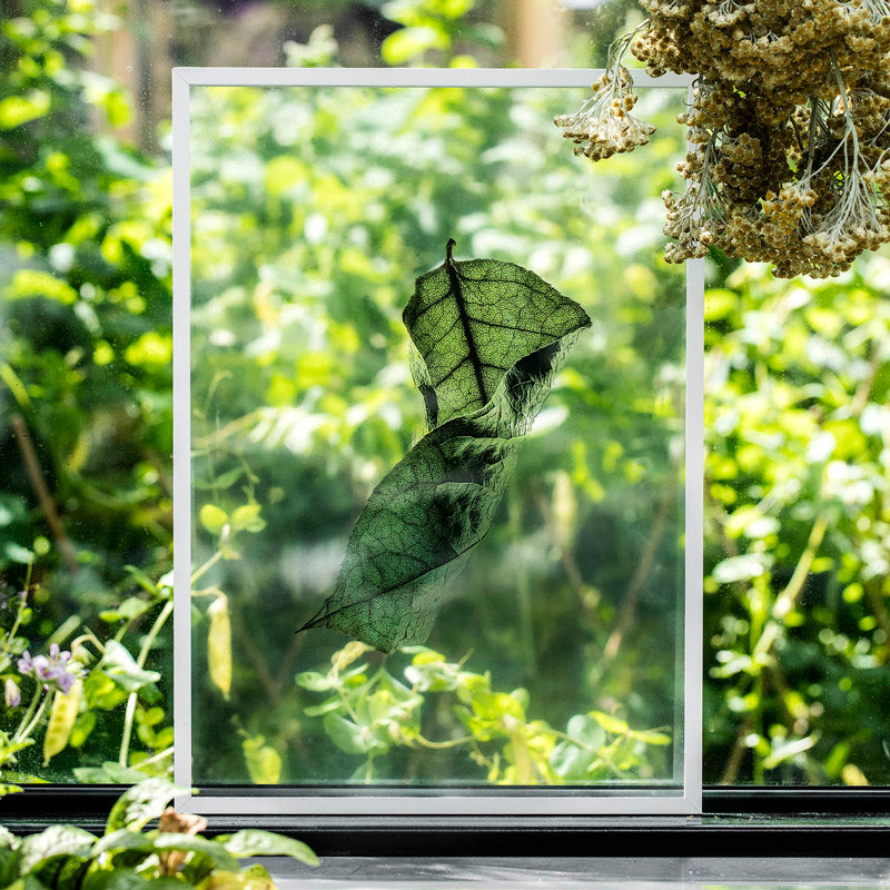 MOEBE FRAME(ポスターフレーム) A4 ホワイト 通販 | FULLangle(フル