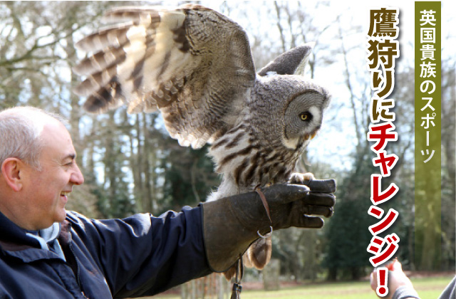 2個 英国から ファルコングローブ 猛禽類 革手袋 ふくろう フクロウ