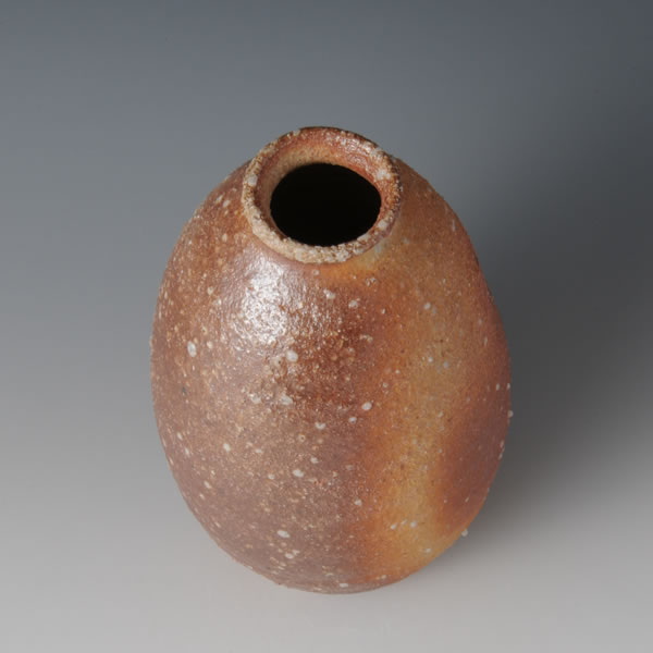 Japan Pottery Net / 信楽花瓶 D