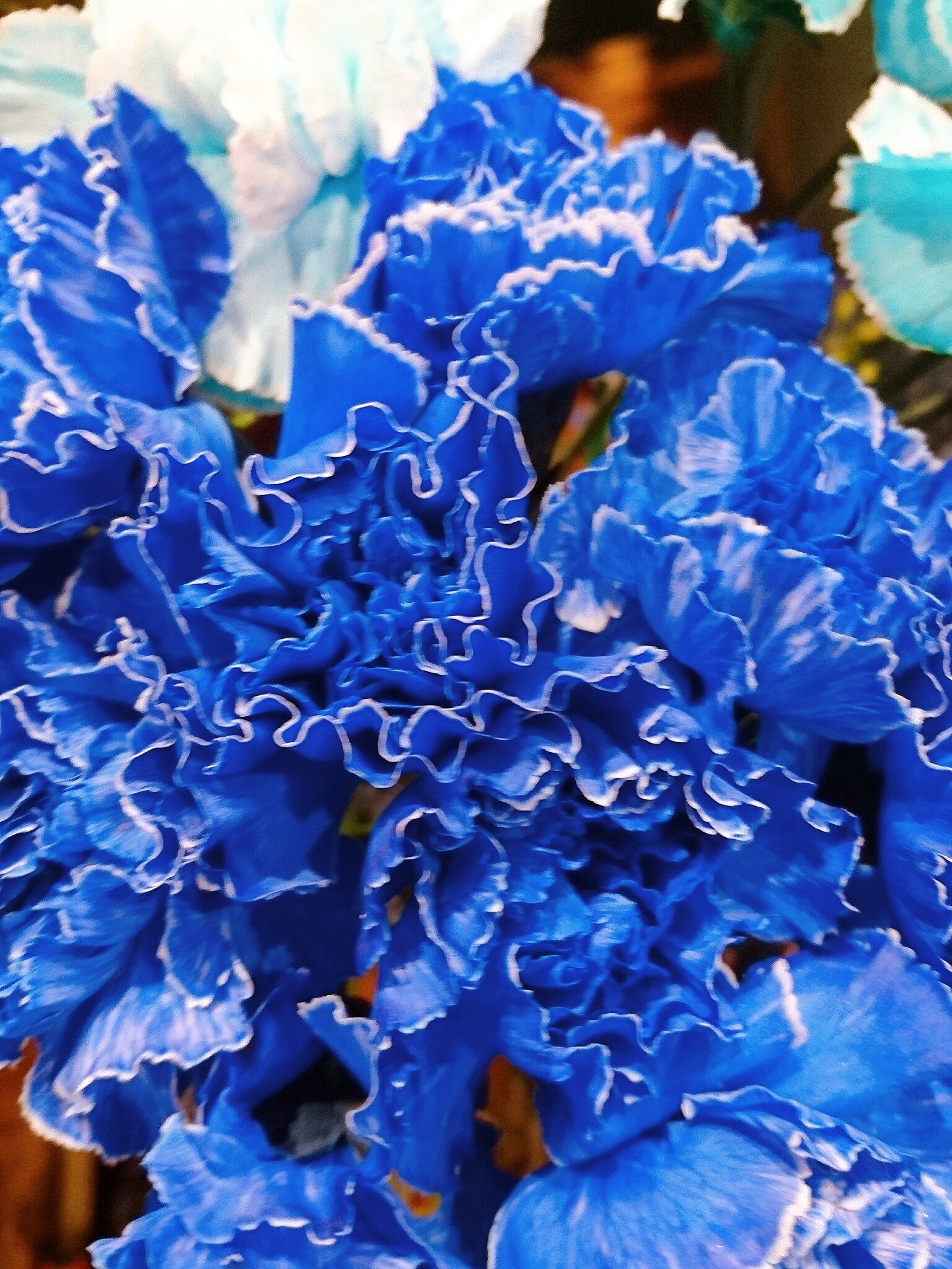 青いカーネーション ホワイト プチ贅沢なアレンジ BlueWhite