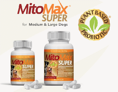 マイトマックス スーパー MITOMAX SUPER 中型犬 大型犬 90錠