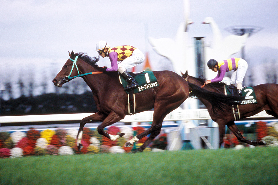 第30回エリザベス女王杯スイープトウショウ競馬アイドルホースウマ娘