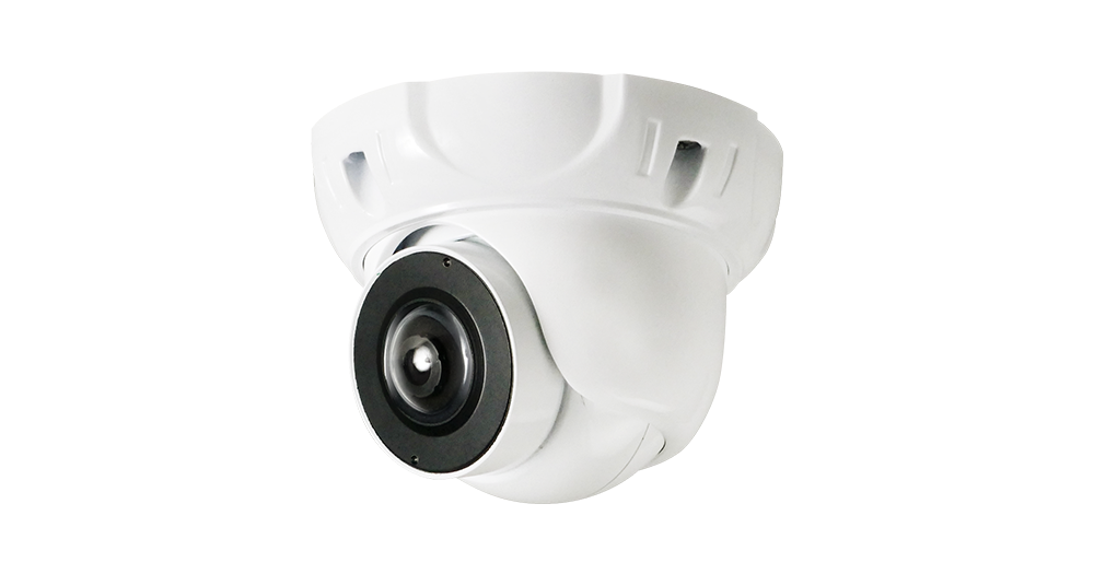 AHD対応2.2メガピクセル 180度パノラマカメラ - ジャパン