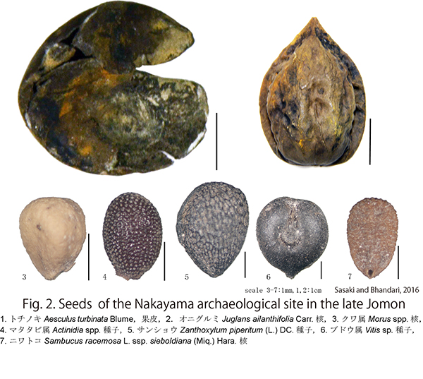 流体工学部門：流れの読み物：ニュースレター
