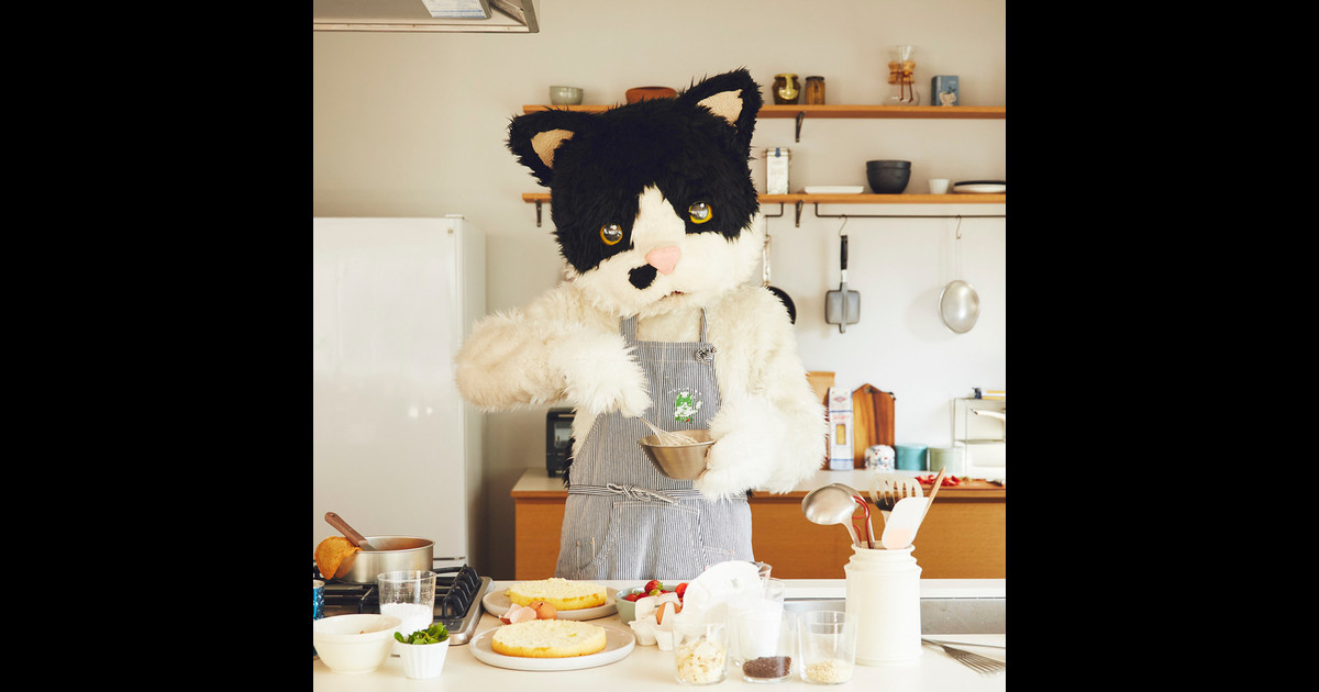 むぎ(猫) | プロフィール | スピードスターレコーズ