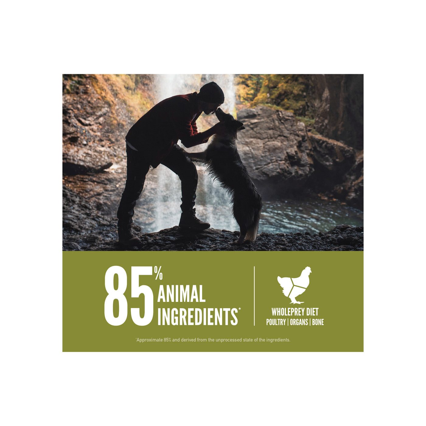 Orijen Senior ドッグフード 6㎏ ORIJEN Senior Dry Dog Food