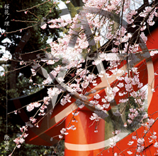 陰陽座公式庵頁|||『桜花ノ理』