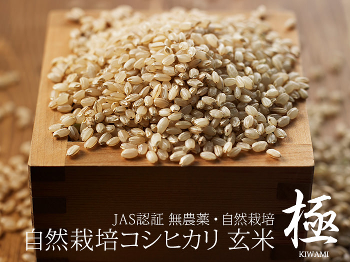 中道農園 / 自然栽培コシヒカリ 極 玄米 2.5kg