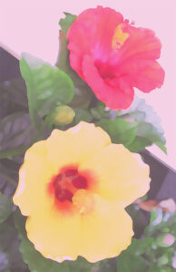 ノーマン・ロックウェル ノー・スイミング | 絵画など美術品の販売と