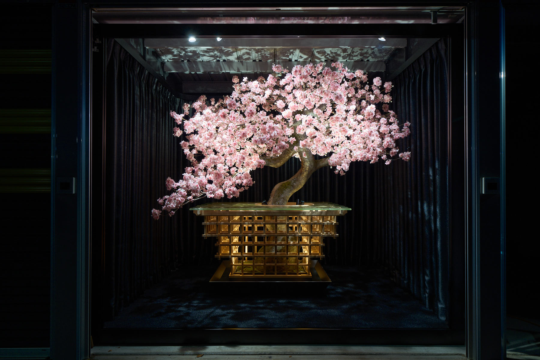 桜造形ブランド「桜花爛漫」