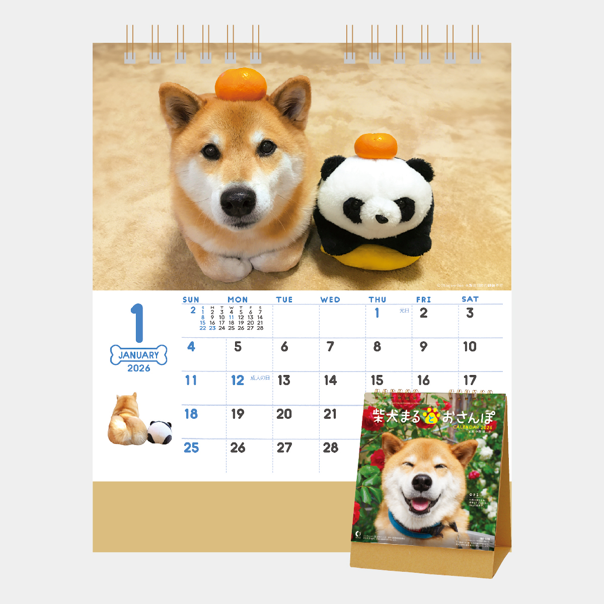 NK-529 卓上 柴犬まるとおさんぽ2026年版の名入れカレンダーを格安で