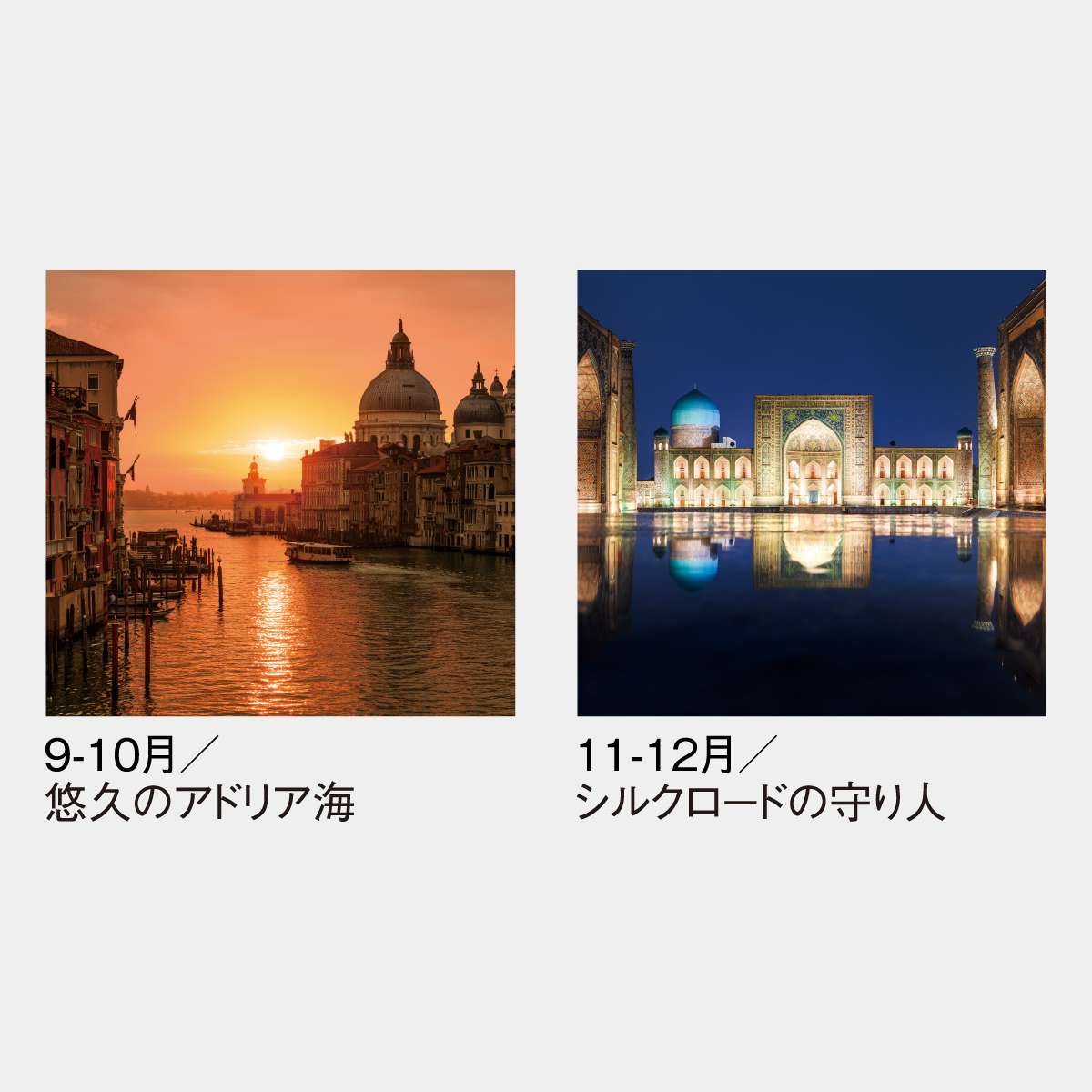 MTG 風景の変容 日本語英語2枚セット 風景の変容 日2枚セット 風景の