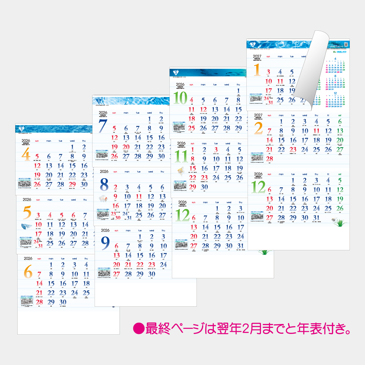 TD-788 アクア・ブルー3ヶ月eco(上から順タイプ)2026年版の名入れ