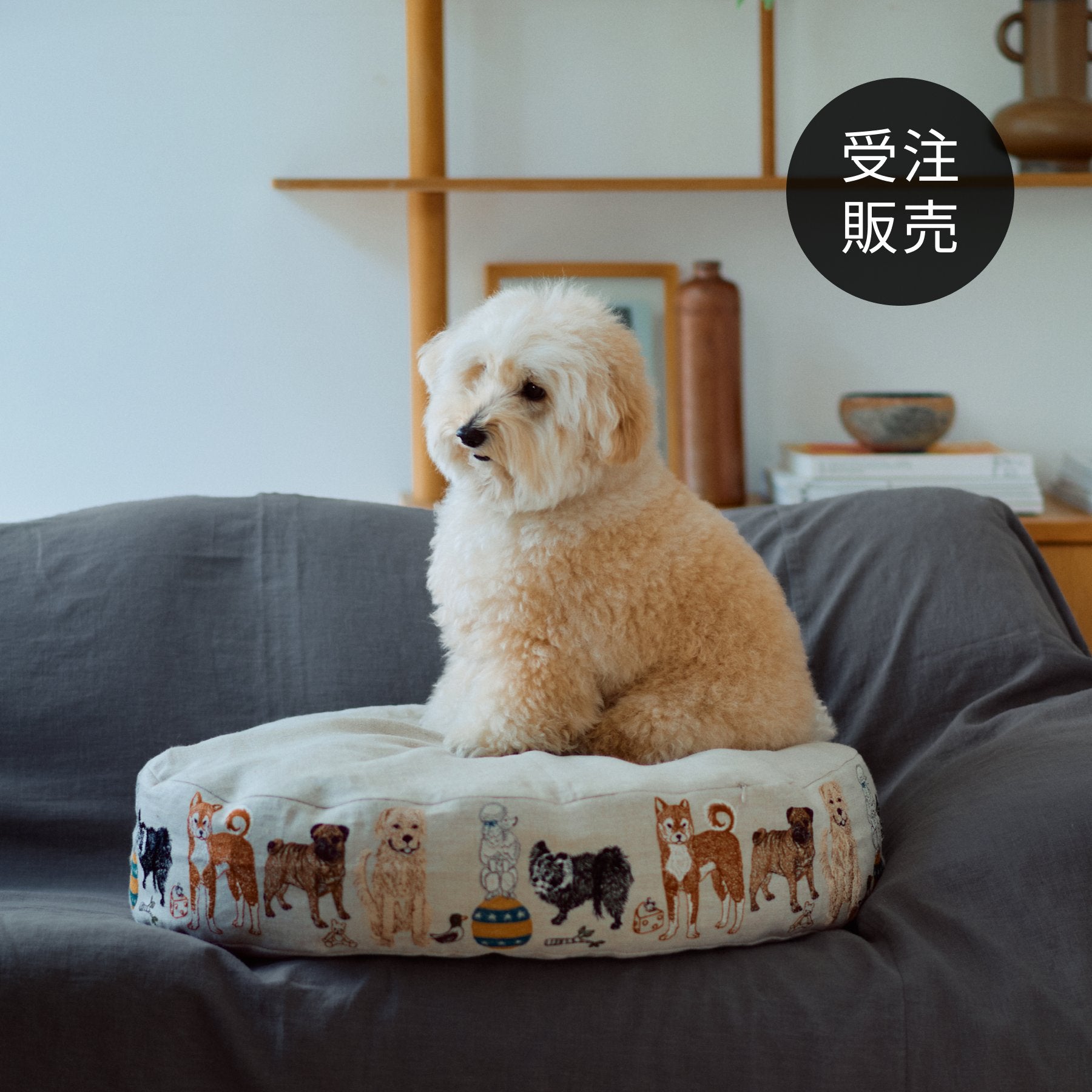 cot0005_thumbnail.jpg?v=