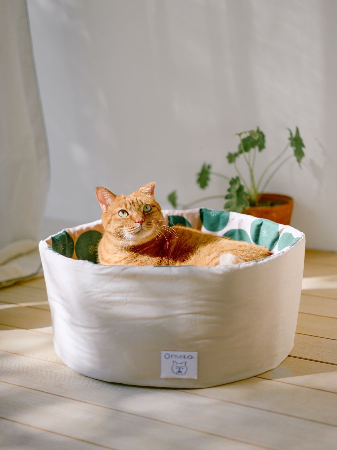 オルネコ・クッション付きラウンドベッド／あんパン｜オルネコ