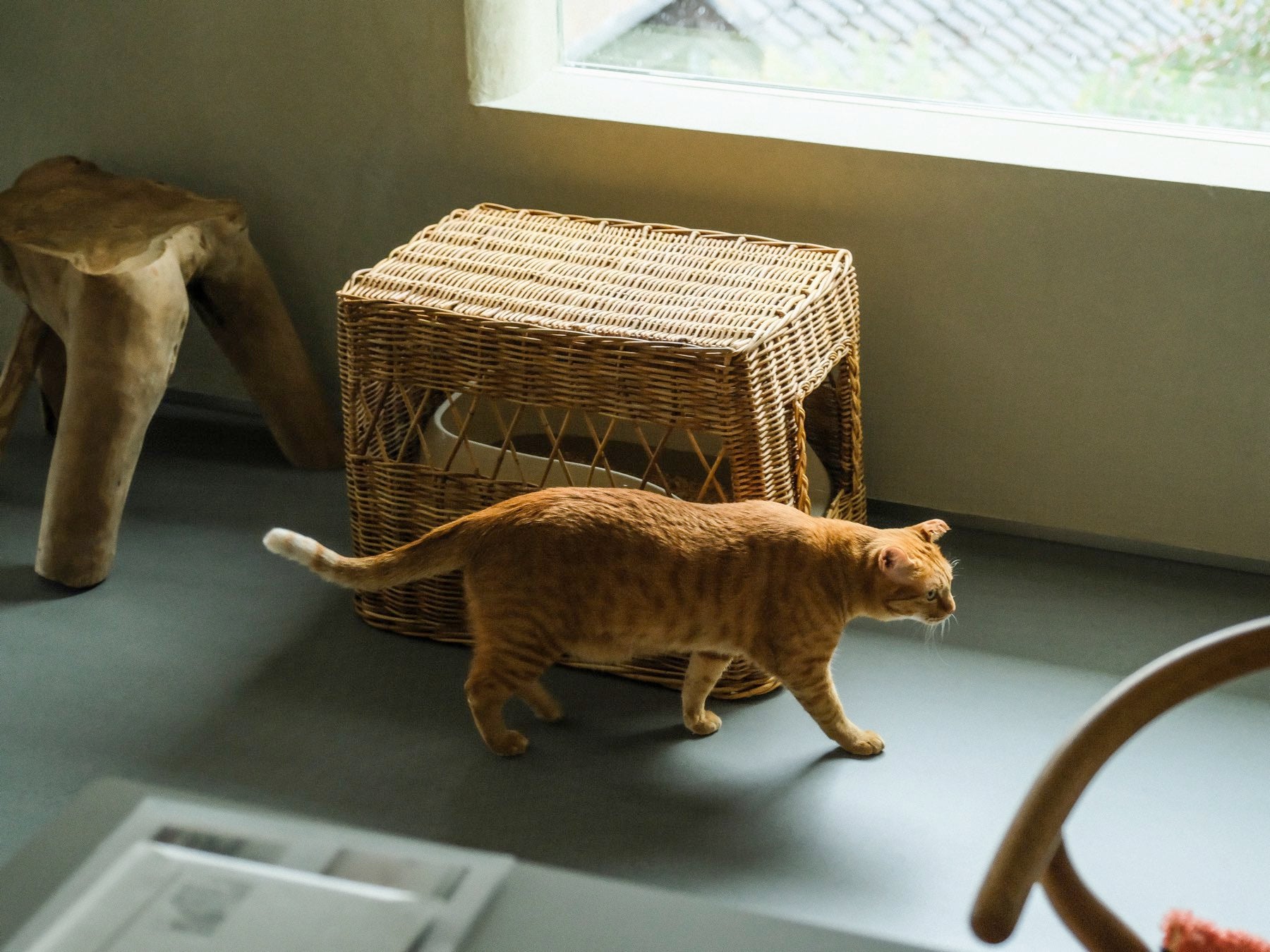 オルネコ×Encachette アラログトイレカバー｜オルネコ（爪とぎ・トイレ