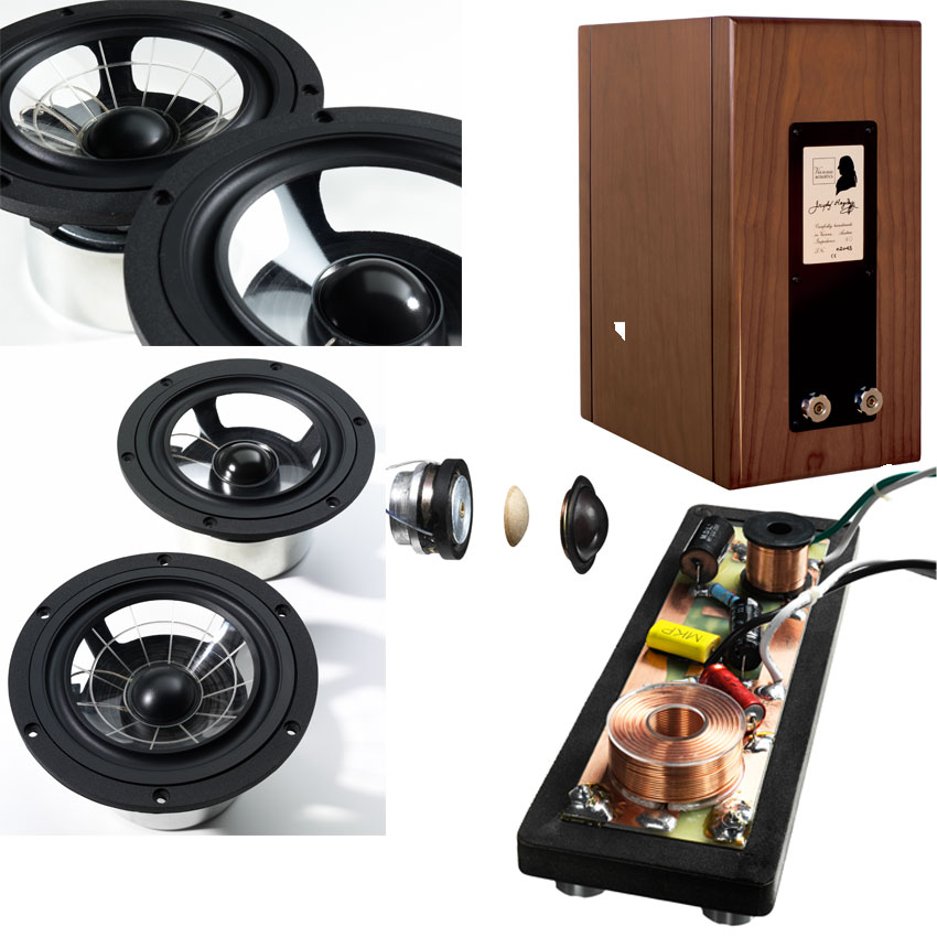 VIENNA ACOUSTICS S-1 ウィーンアコースティック スピーカー ペア T6541492