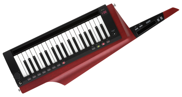 スタンド・ケース付】KORG RK-100s ショルダーキーボード RK-100S