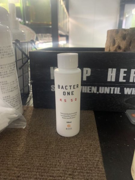 バクターワン 小 - LowkeysNeo．