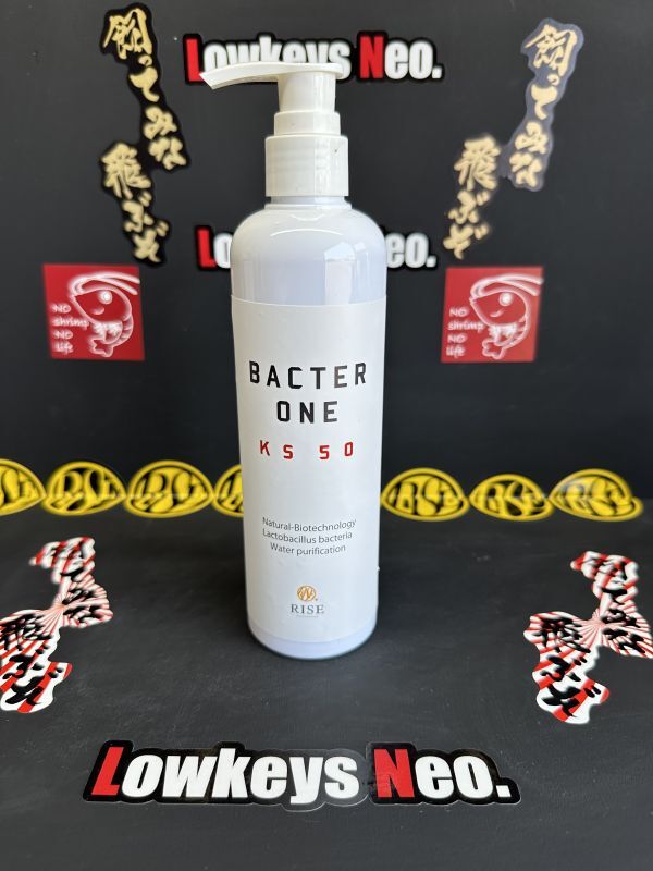 不動の人気！バクターワン - LowkeysNeo．