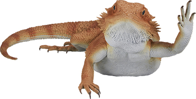 爬虫類＆両生類の一番くじが好評につき再び登場！｜ローソン公式サイト