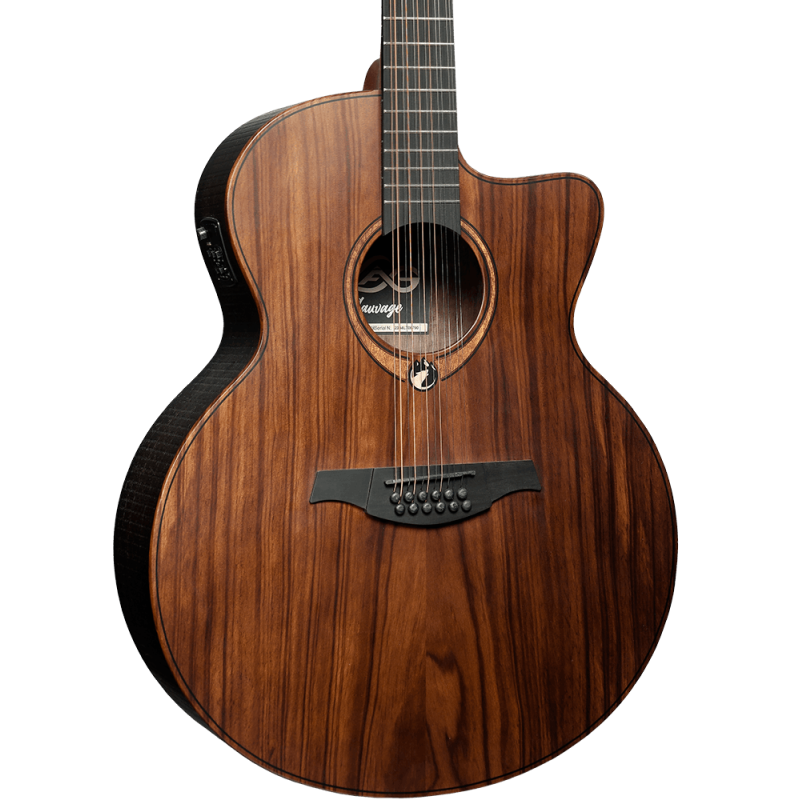 Jumbo 12 cordes strings Acoustic-Electric