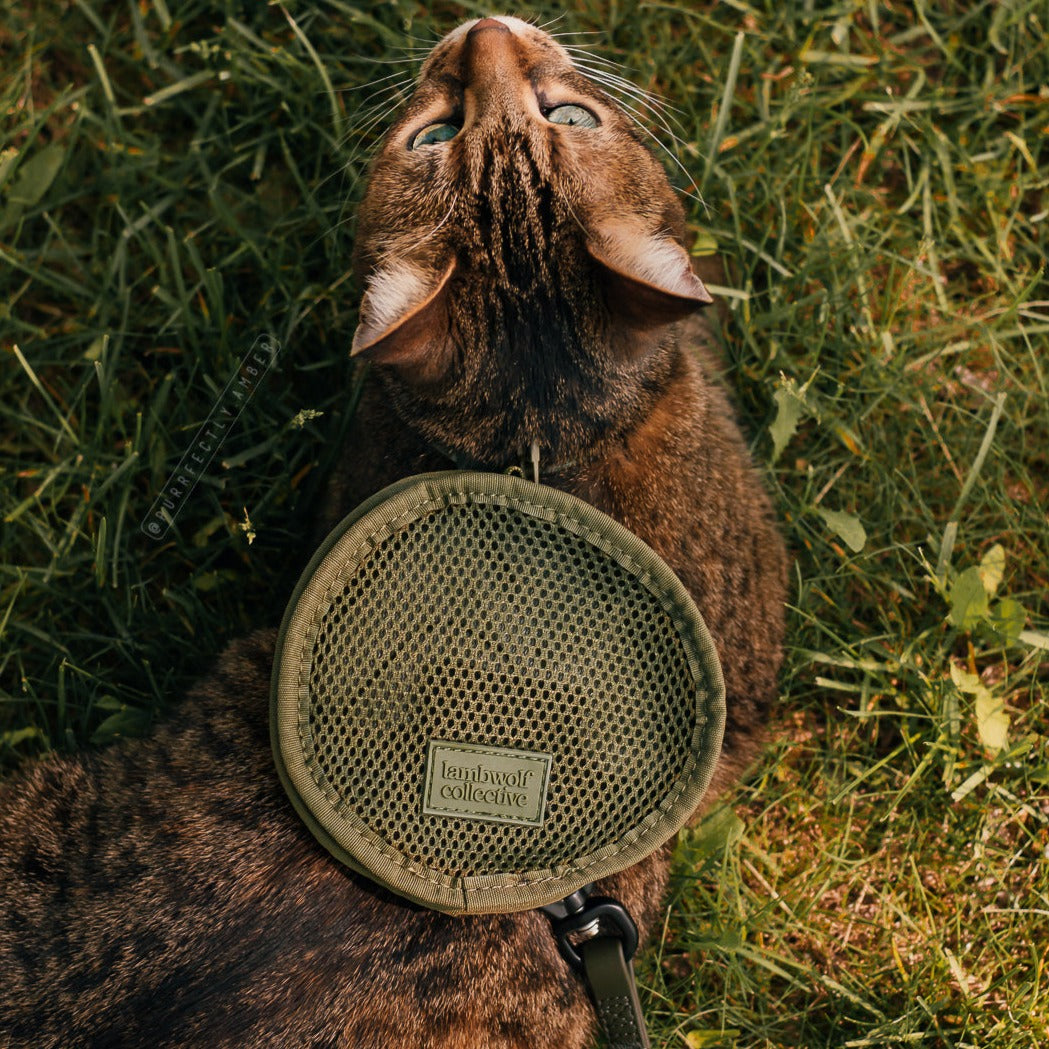 APEX - Long Waterproof Dog Leash | Pet Leash