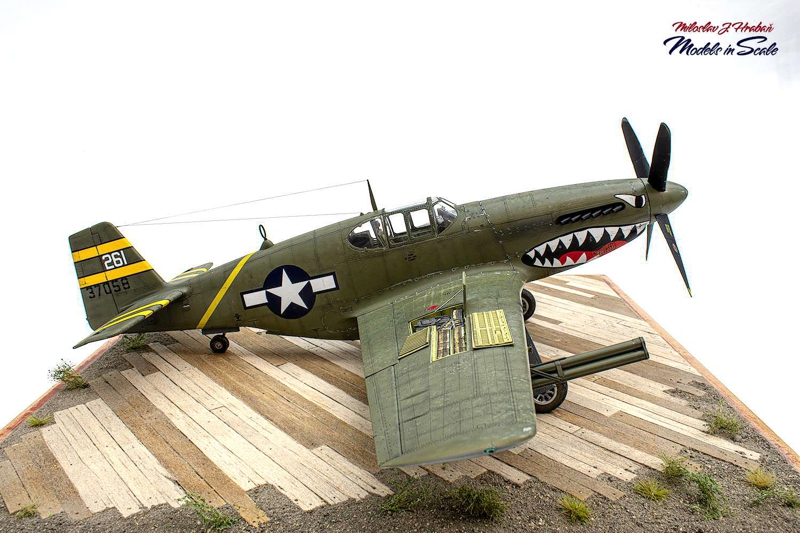 Trumpeter 1/32 P-51B Mustang | Large Scale Planes