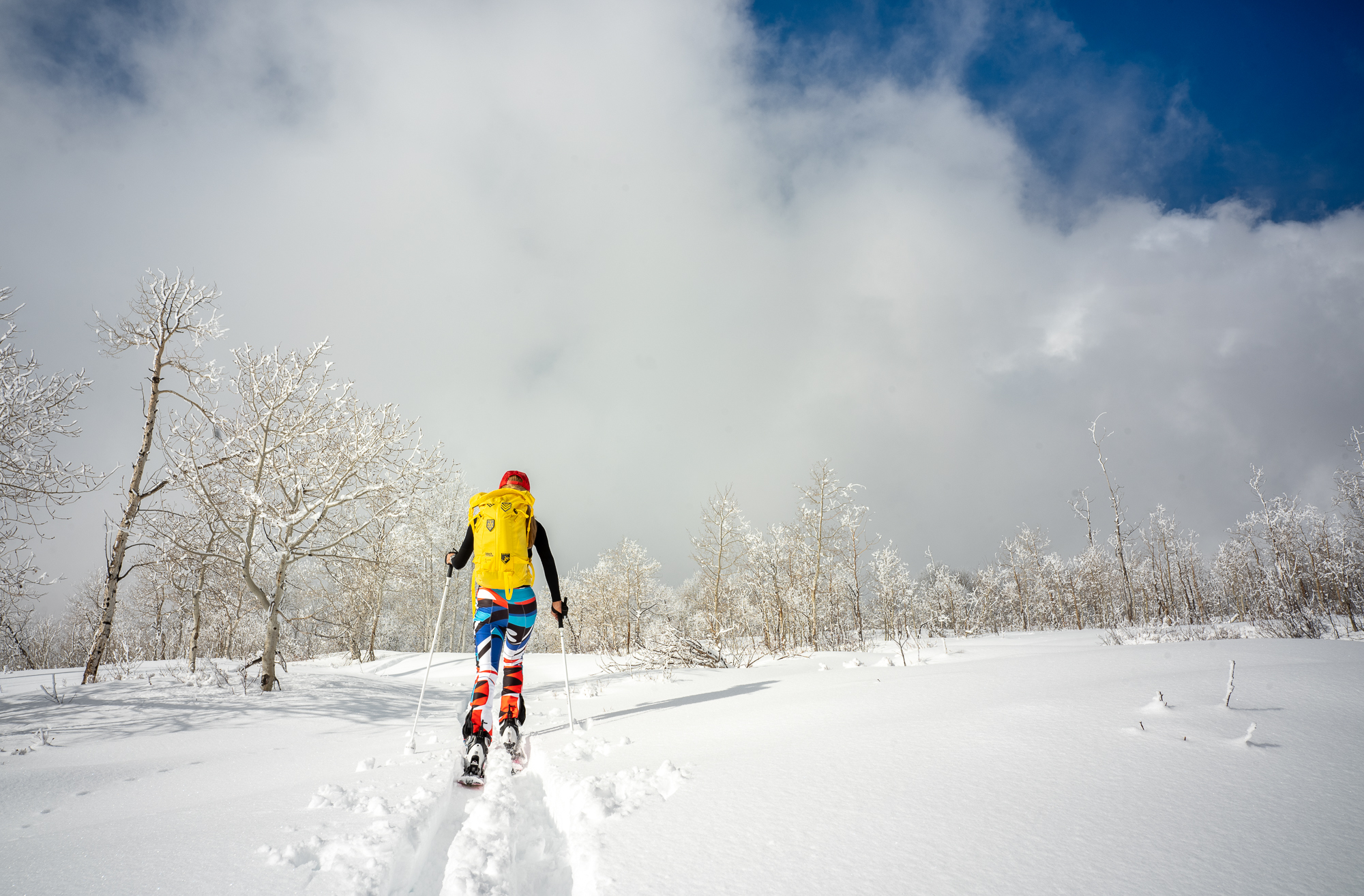 Voigtlander Color Skopar 25mm f/4 review – Leica Lenses for Normal