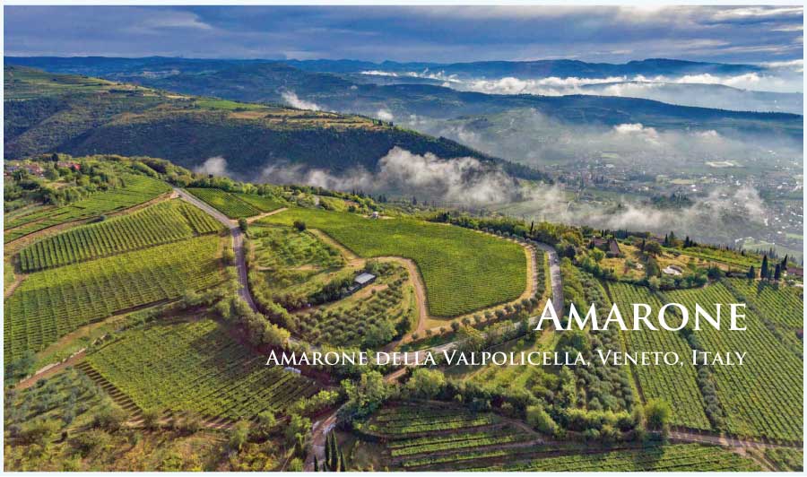 アマローネ (Amarone) ワイン通販 レ・ブルジョン