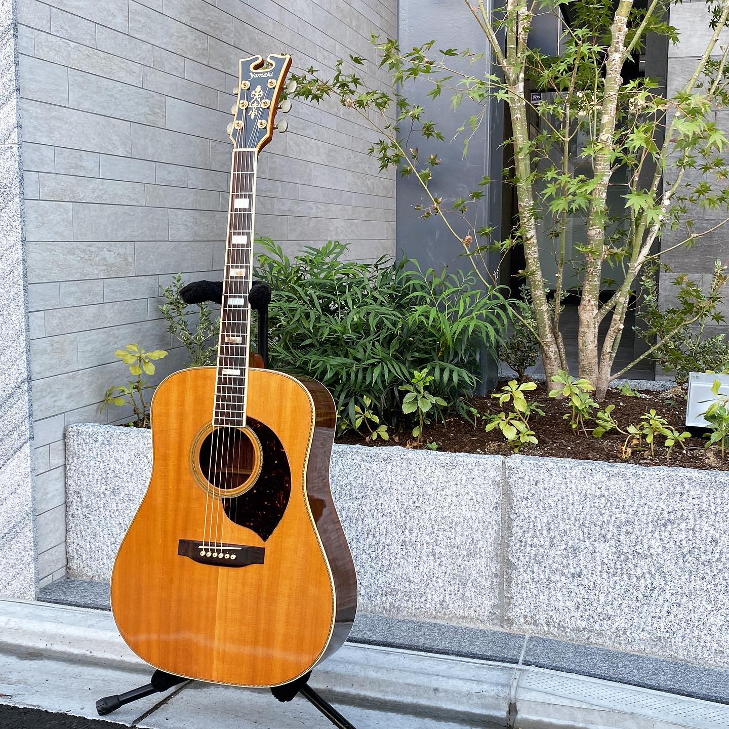 8月4日迄の限定価格です】Yamaki ヤマキ Y-50D オール単板 8月4日迄の