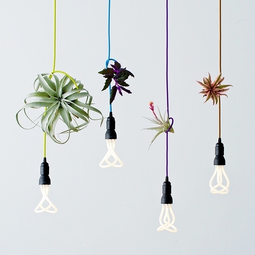 BABY PLUMEN 001 ベイビープルーメン 001 | 商品紹介 | 照明器具の通信