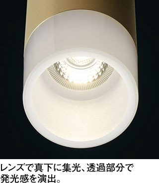 ODELIC オーデリック シャンデリア OC257199R | 商品紹介 | 照明器具の