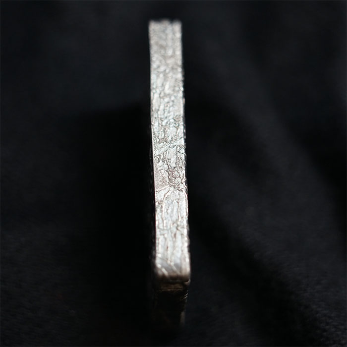 アルタイ隕石 鉄隕石 2870g アルタイ隕石 (Aletai meteorite)