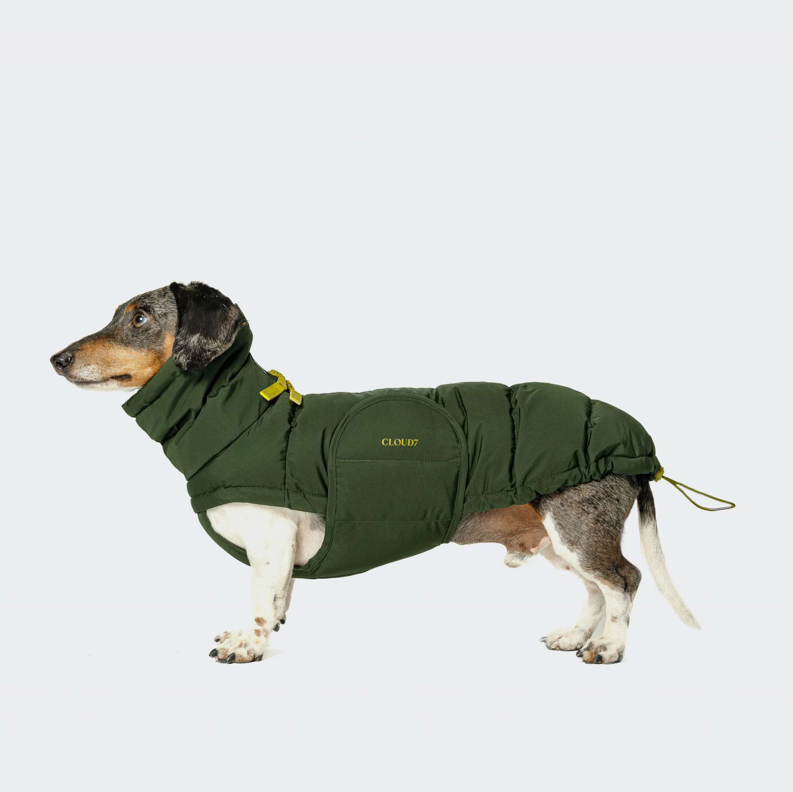 Dog Coat Alaska Dachshound olive | lucka.dog