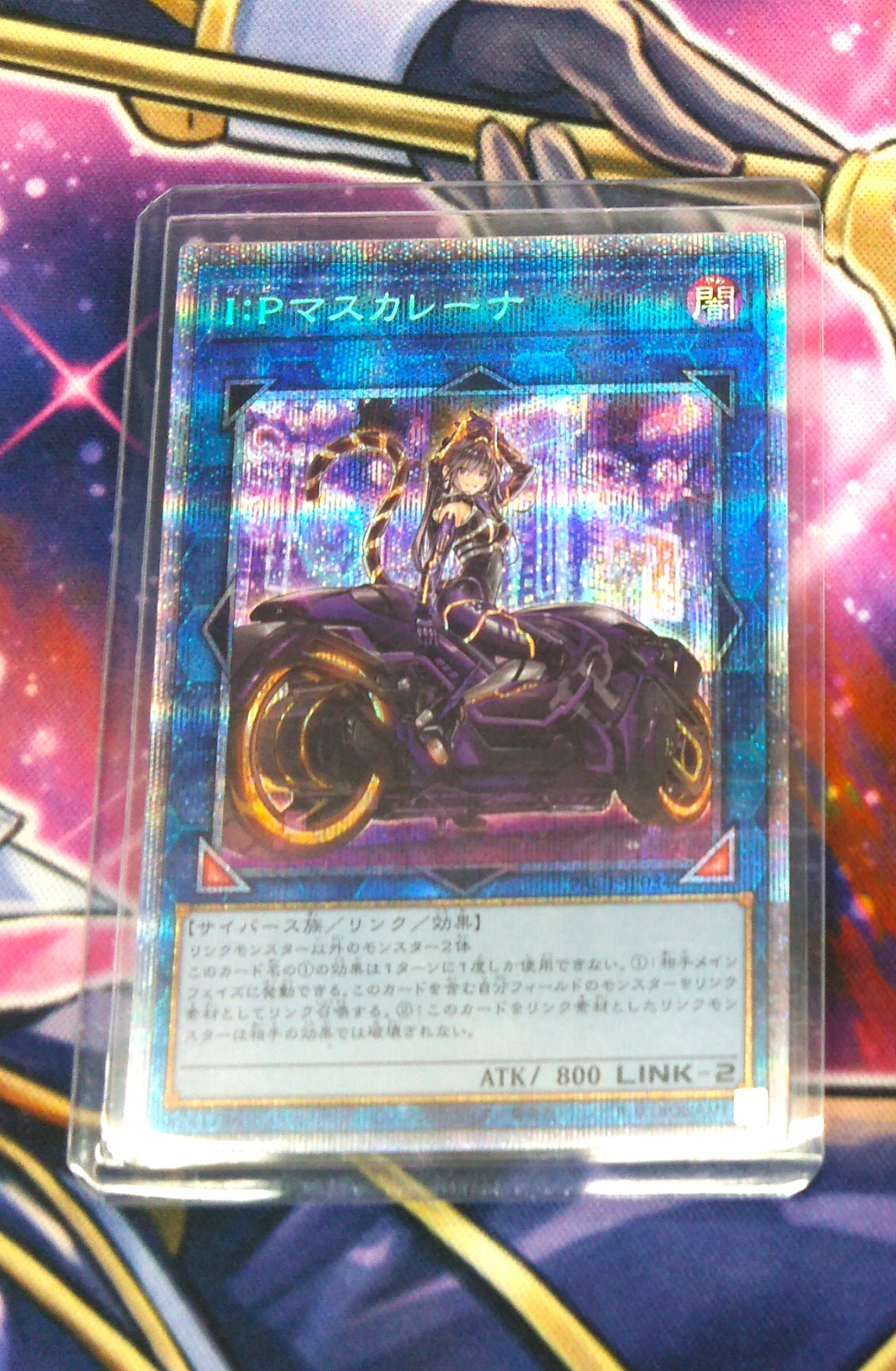 遊戯王 I：Pマスカレーナプリズマティックシークレットプリシク