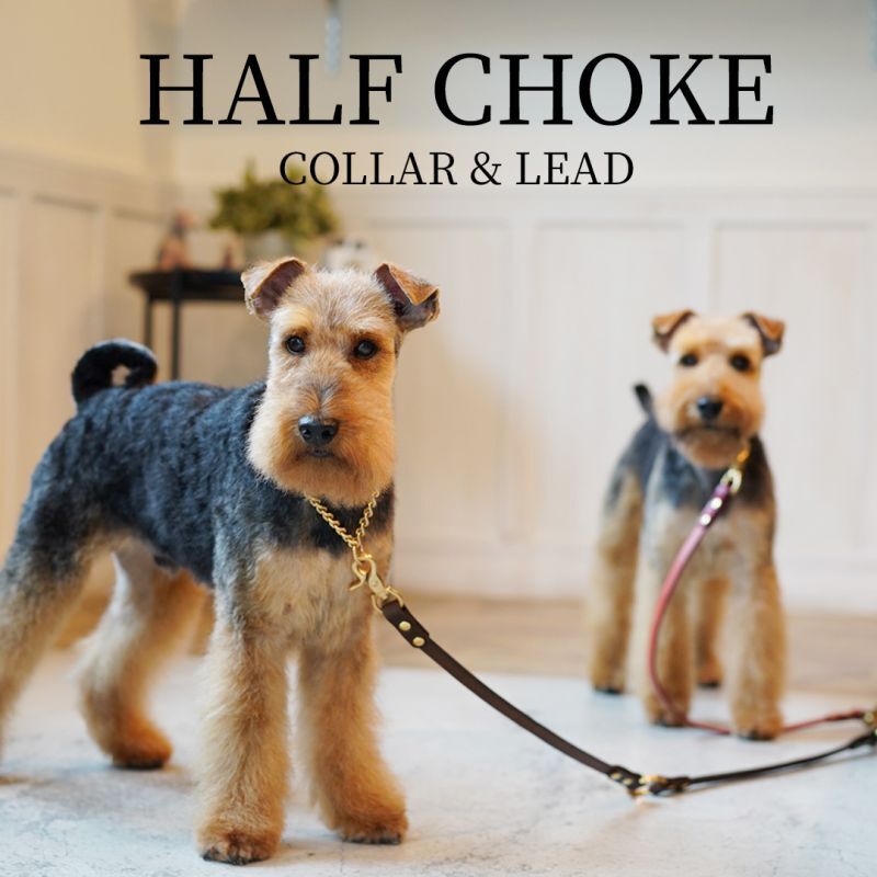 mmsu-ha 首輪・リードセット オーダー/HALF CHOKE SET